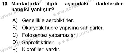 Temel Veteriner Mikrobiyoloji ve İmmünoloji Dersi 2017 - 2018 Yılı (Final) Dönem Sonu Sınavı 10. Soru