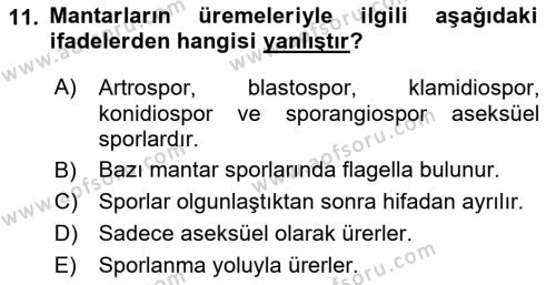 Temel Veteriner Mikrobiyoloji ve İmmünoloji Dersi 2017 - 2018 Yılı (Final) Dönem Sonu Sınavı 11. Soru