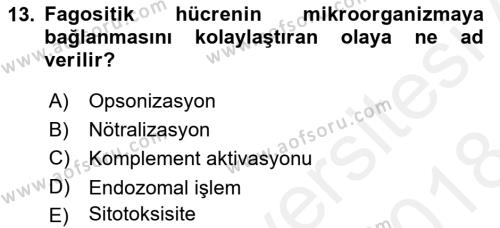 Temel Veteriner Mikrobiyoloji ve İmmünoloji Dersi 2017 - 2018 Yılı (Final) Dönem Sonu Sınavı 13. Soru