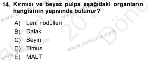 Temel Veteriner Mikrobiyoloji ve İmmünoloji Dersi 2017 - 2018 Yılı (Final) Dönem Sonu Sınavı 14. Soru