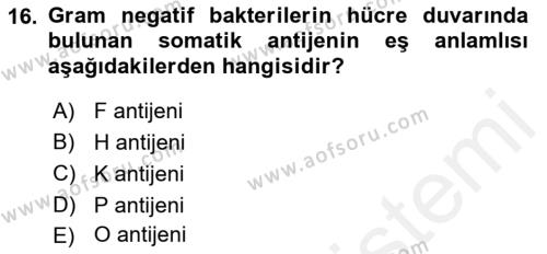 Temel Veteriner Mikrobiyoloji ve İmmünoloji Dersi 2017 - 2018 Yılı (Final) Dönem Sonu Sınavı 16. Soru