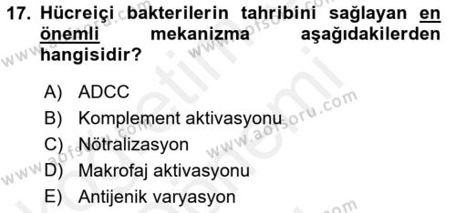 Temel Veteriner Mikrobiyoloji ve İmmünoloji Dersi 2017 - 2018 Yılı (Final) Dönem Sonu Sınavı 17. Soru