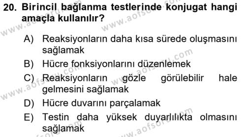 Temel Veteriner Mikrobiyoloji ve İmmünoloji Dersi 2017 - 2018 Yılı (Final) Dönem Sonu Sınavı 20. Soru