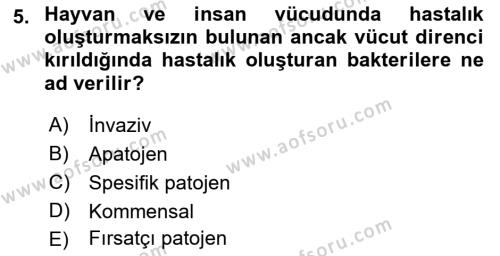 Temel Veteriner Mikrobiyoloji ve İmmünoloji Dersi 2017 - 2018 Yılı (Final) Dönem Sonu Sınavı 5. Soru