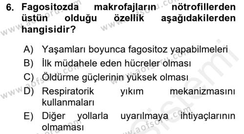 Temel Veteriner Mikrobiyoloji ve İmmünoloji Dersi 2017 - 2018 Yılı (Final) Dönem Sonu Sınavı 6. Soru