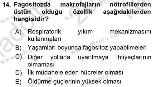 Temel Veteriner Mikrobiyoloji ve İmmünoloji Dersi 2020 - 2021 Yılı Yaz Okulu Sınavı 14. Soru