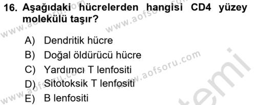 Temel Veteriner Mikrobiyoloji ve İmmünoloji Dersi 2020 - 2021 Yılı Yaz Okulu Sınavı 16. Soru