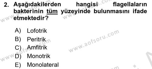 Temel Veteriner Mikrobiyoloji ve İmmünoloji Dersi 2020 - 2021 Yılı Yaz Okulu Sınavı 2. Soru