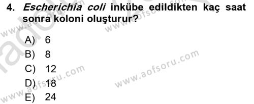 Temel Veteriner Mikrobiyoloji ve İmmünoloji Dersi 2020 - 2021 Yılı Yaz Okulu Sınavı 4. Soru