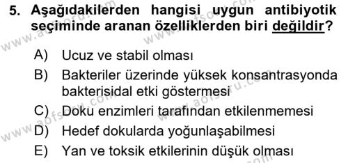 Temel Veteriner Mikrobiyoloji ve İmmünoloji Dersi 2020 - 2021 Yılı Yaz Okulu Sınavı 5. Soru