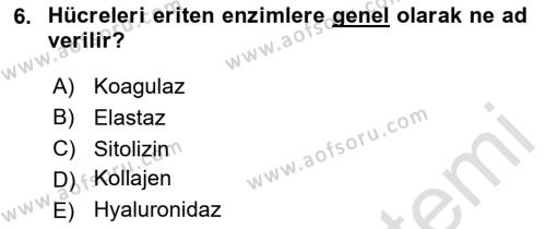 Temel Veteriner Mikrobiyoloji ve İmmünoloji Dersi 2020 - 2021 Yılı Yaz Okulu Sınavı 6. Soru