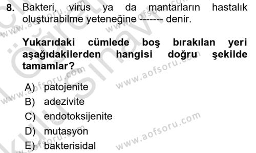 Temel Veteriner Mikrobiyoloji ve İmmünoloji Dersi 2020 - 2021 Yılı Yaz Okulu Sınavı 8. Soru