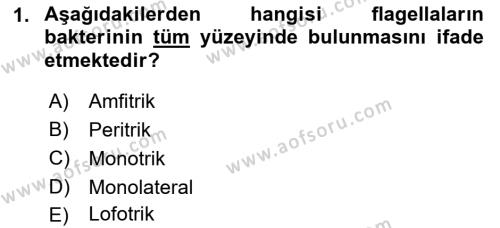 Temel Veteriner Mikrobiyoloji ve İmmünoloji Dersi 2021 - 2022 Yılı (Vize) Ara Sınavı 1. Soru