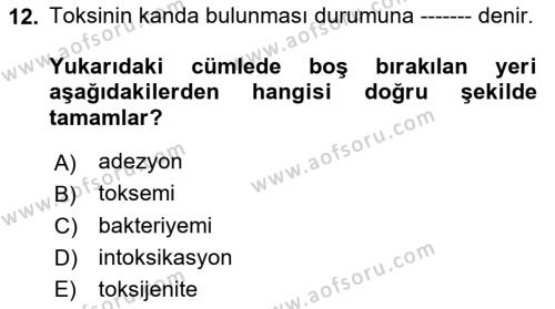 Temel Veteriner Mikrobiyoloji ve İmmünoloji Dersi 2021 - 2022 Yılı (Vize) Ara Sınavı 12. Soru