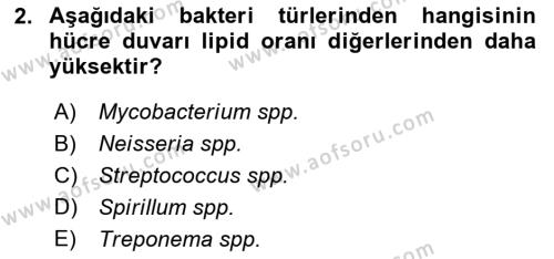 Temel Veteriner Mikrobiyoloji ve İmmünoloji Dersi 2021 - 2022 Yılı (Vize) Ara Sınavı 2. Soru