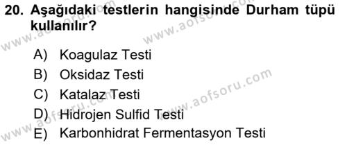 Temel Veteriner Mikrobiyoloji ve İmmünoloji Dersi 2021 - 2022 Yılı (Vize) Ara Sınavı 20. Soru