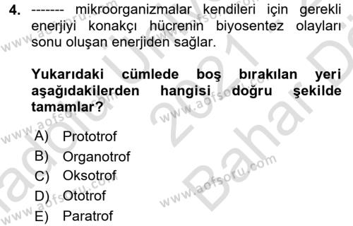 Temel Veteriner Mikrobiyoloji ve İmmünoloji Dersi 2021 - 2022 Yılı (Vize) Ara Sınavı 4. Soru