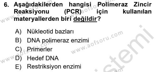 Temel Veteriner Mikrobiyoloji ve İmmünoloji Dersi 2021 - 2022 Yılı (Vize) Ara Sınavı 6. Soru