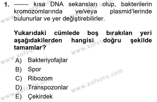 Temel Veteriner Mikrobiyoloji ve İmmünoloji Dersi 2021 - 2022 Yılı (Final) Dönem Sonu Sınavı 1. Soru