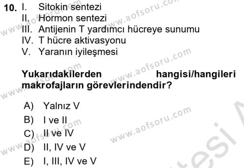 Temel Veteriner Mikrobiyoloji ve İmmünoloji Dersi 2021 - 2022 Yılı (Final) Dönem Sonu Sınavı 10. Soru