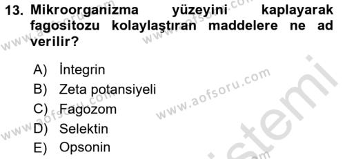 Temel Veteriner Mikrobiyoloji ve İmmünoloji Dersi 2021 - 2022 Yılı (Final) Dönem Sonu Sınavı 13. Soru