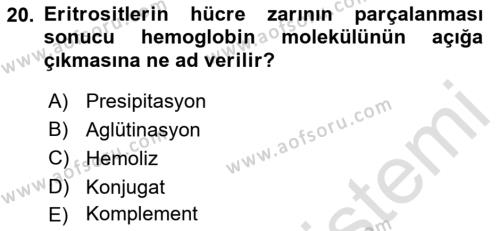 Temel Veteriner Mikrobiyoloji ve İmmünoloji Dersi 2021 - 2022 Yılı (Final) Dönem Sonu Sınavı 20. Soru