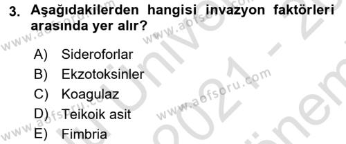 Temel Veteriner Mikrobiyoloji ve İmmünoloji Dersi 2021 - 2022 Yılı (Final) Dönem Sonu Sınavı 3. Soru