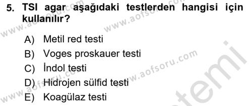 Temel Veteriner Mikrobiyoloji ve İmmünoloji Dersi 2021 - 2022 Yılı (Final) Dönem Sonu Sınavı 5. Soru