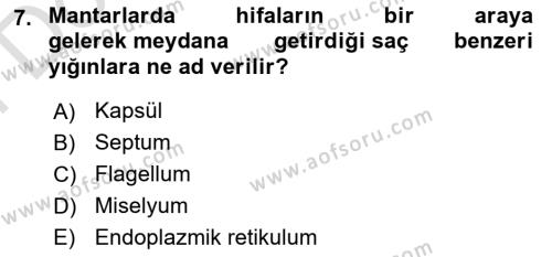 Temel Veteriner Mikrobiyoloji ve İmmünoloji Dersi 2021 - 2022 Yılı (Final) Dönem Sonu Sınavı 7. Soru