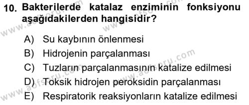 Temel Veteriner Mikrobiyoloji ve İmmünoloji Dersi 2021 - 2022 Yılı Yaz Okulu Sınavı 10. Soru