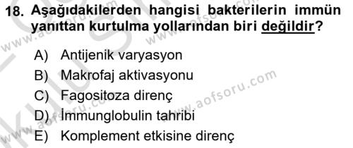 Temel Veteriner Mikrobiyoloji ve İmmünoloji Dersi 2021 - 2022 Yılı Yaz Okulu Sınavı 18. Soru