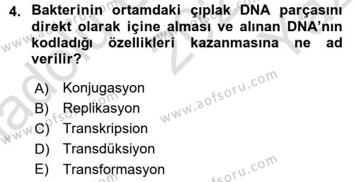 Temel Veteriner Mikrobiyoloji ve İmmünoloji Dersi 2021 - 2022 Yılı Yaz Okulu Sınavı 4. Soru