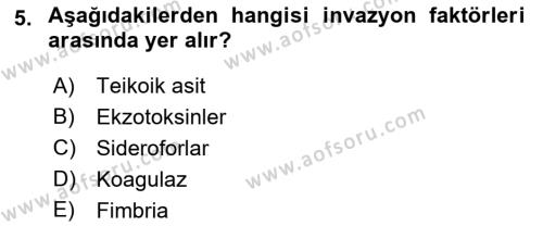 Temel Veteriner Mikrobiyoloji ve İmmünoloji Dersi 2021 - 2022 Yılı Yaz Okulu Sınavı 5. Soru