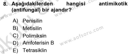 Temel Veteriner Mikrobiyoloji ve İmmünoloji Dersi 2021 - 2022 Yılı Yaz Okulu Sınavı 8. Soru