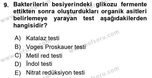 Temel Veteriner Mikrobiyoloji ve İmmünoloji Dersi 2021 - 2022 Yılı Yaz Okulu Sınavı 9. Soru