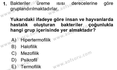 Temel Veteriner Mikrobiyoloji ve İmmünoloji Dersi 2022 - 2023 Yılı Yaz Okulu Sınavı 1. Soru