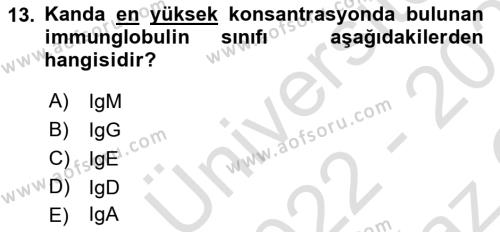 Temel Veteriner Mikrobiyoloji ve İmmünoloji Dersi 2022 - 2023 Yılı Yaz Okulu Sınavı 13. Soru