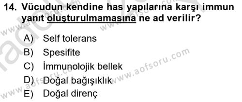 Temel Veteriner Mikrobiyoloji ve İmmünoloji Dersi 2022 - 2023 Yılı Yaz Okulu Sınavı 14. Soru