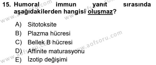 Temel Veteriner Mikrobiyoloji ve İmmünoloji Dersi 2022 - 2023 Yılı Yaz Okulu Sınavı 15. Soru