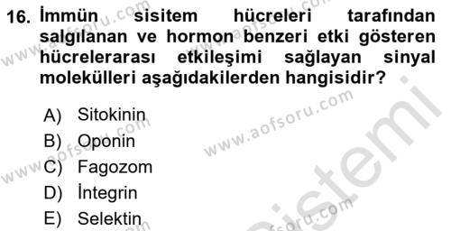 Temel Veteriner Mikrobiyoloji ve İmmünoloji Dersi 2022 - 2023 Yılı Yaz Okulu Sınavı 16. Soru