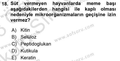 Temel Veteriner Mikrobiyoloji ve İmmünoloji Dersi 2022 - 2023 Yılı Yaz Okulu Sınavı 18. Soru