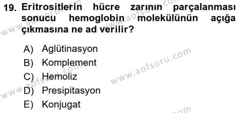 Temel Veteriner Mikrobiyoloji ve İmmünoloji Dersi 2022 - 2023 Yılı Yaz Okulu Sınavı 19. Soru