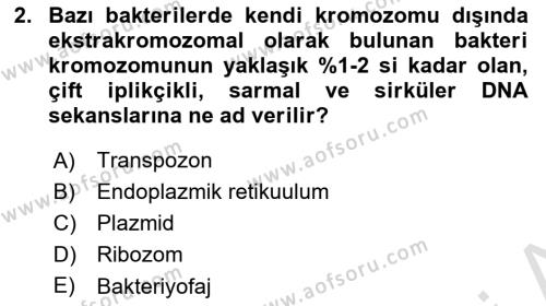 Temel Veteriner Mikrobiyoloji ve İmmünoloji Dersi 2022 - 2023 Yılı Yaz Okulu Sınavı 2. Soru