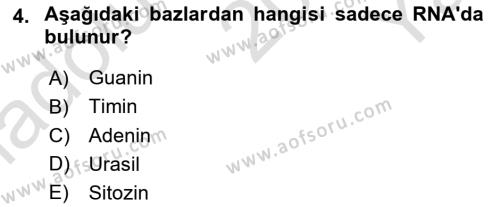 Temel Veteriner Mikrobiyoloji ve İmmünoloji Dersi 2022 - 2023 Yılı Yaz Okulu Sınavı 4. Soru