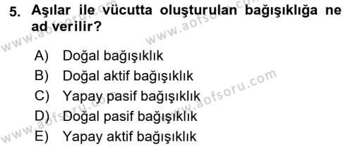 Temel Veteriner Mikrobiyoloji ve İmmünoloji Dersi 2022 - 2023 Yılı Yaz Okulu Sınavı 5. Soru