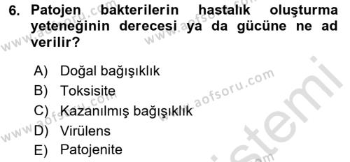 Temel Veteriner Mikrobiyoloji ve İmmünoloji Dersi 2022 - 2023 Yılı Yaz Okulu Sınavı 6. Soru