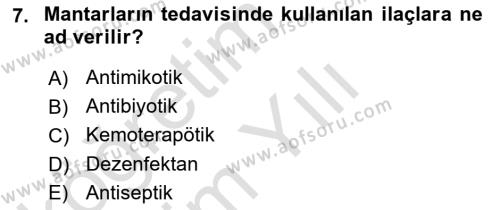 Temel Veteriner Mikrobiyoloji ve İmmünoloji Dersi 2022 - 2023 Yılı Yaz Okulu Sınavı 7. Soru