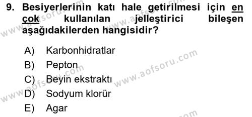 Temel Veteriner Mikrobiyoloji ve İmmünoloji Dersi 2022 - 2023 Yılı Yaz Okulu Sınavı 9. Soru