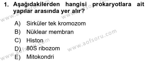 Temel Veteriner Mikrobiyoloji ve İmmünoloji Dersi 2023 - 2024 Yılı (Vize) Ara Sınavı 1. Soru