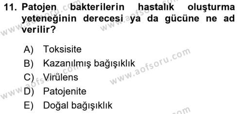 Temel Veteriner Mikrobiyoloji ve İmmünoloji Dersi 2023 - 2024 Yılı (Vize) Ara Sınavı 11. Soru